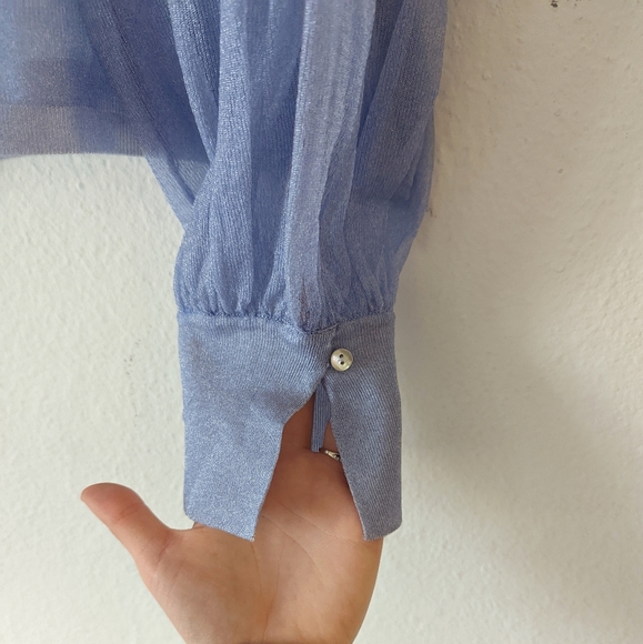 Zara Sheer Shimmer Blouse - Picture 6 of 10